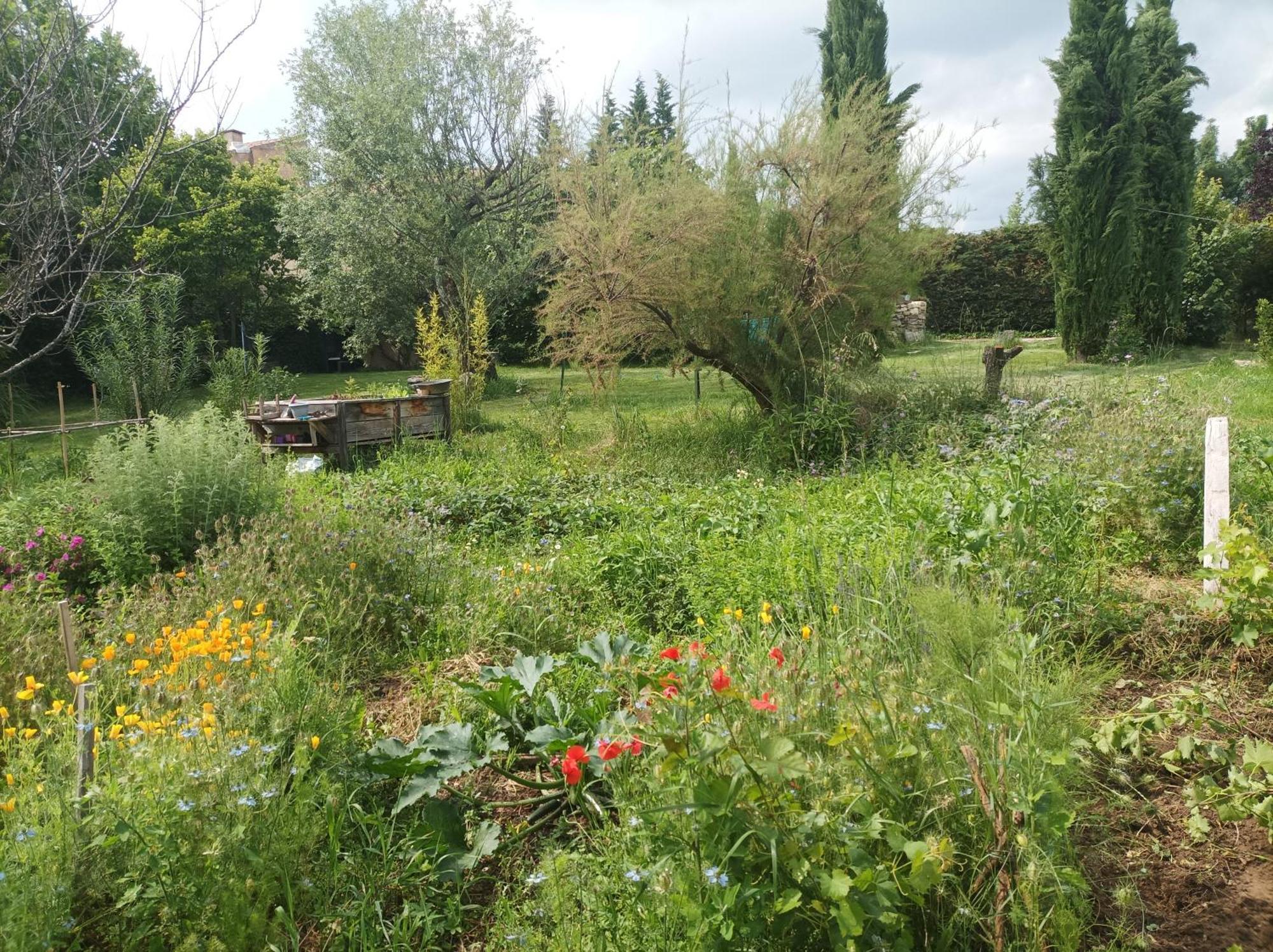 Campagne De Pre Grand Bed & Breakfast Saint-Étienne-les-Orgues Exterior photo
